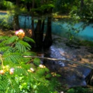 Happy Spring and Summer⛱️🌈🦋🦋